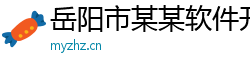 岳阳市某某软件开发厂